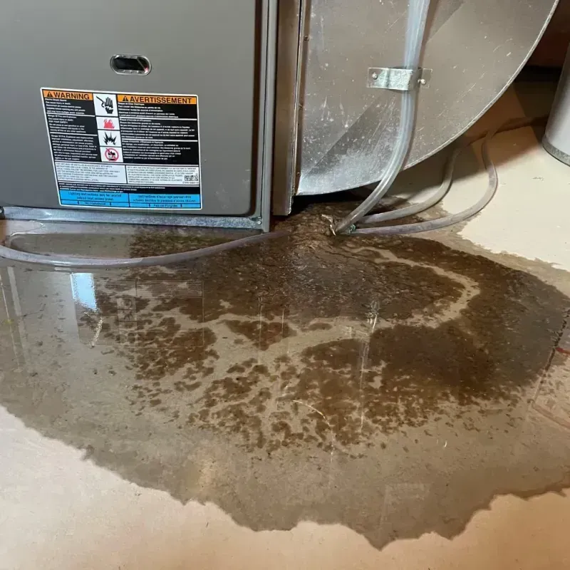 Appliance Leak Cleanup in Lumpkin, GA